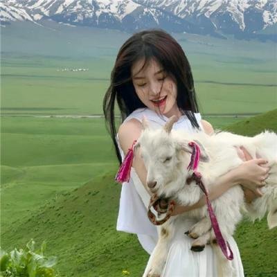 小偷世家 海报